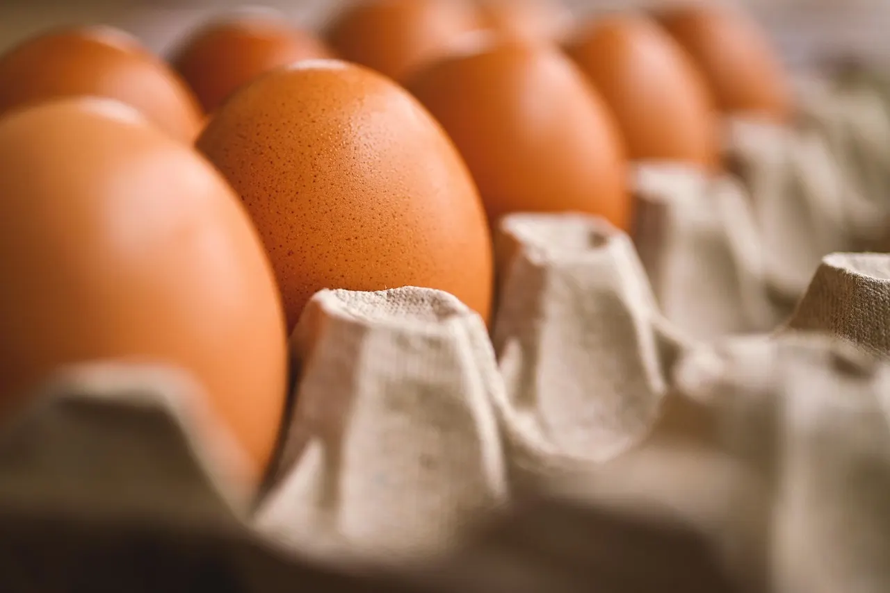 Digital meat thermometer inserted into cooked eggs to verify safe 160F temperature