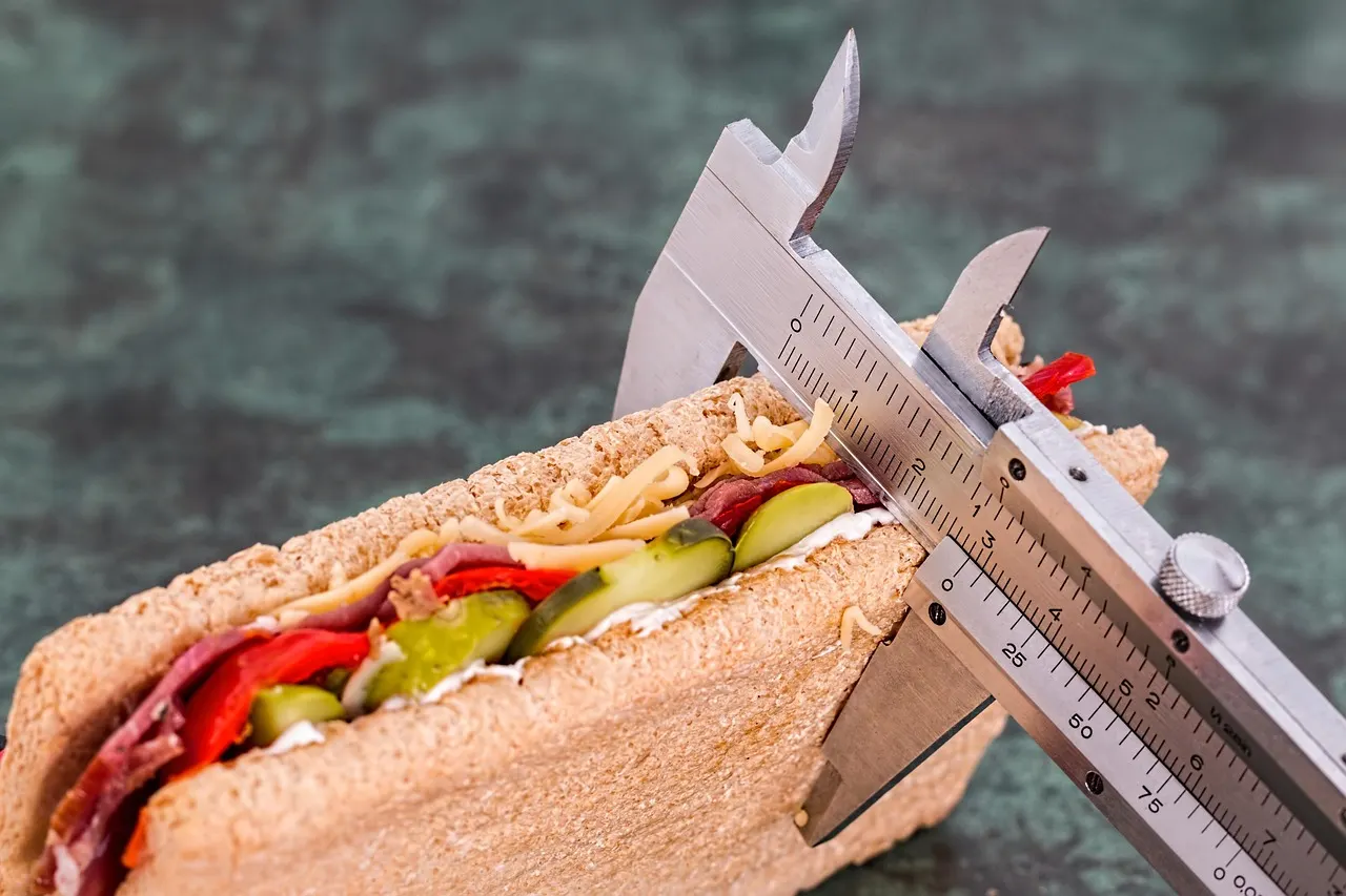 Refeições balanceadas preparadas em porções: comer de 3 em 3 horas não acelera o metabolismo