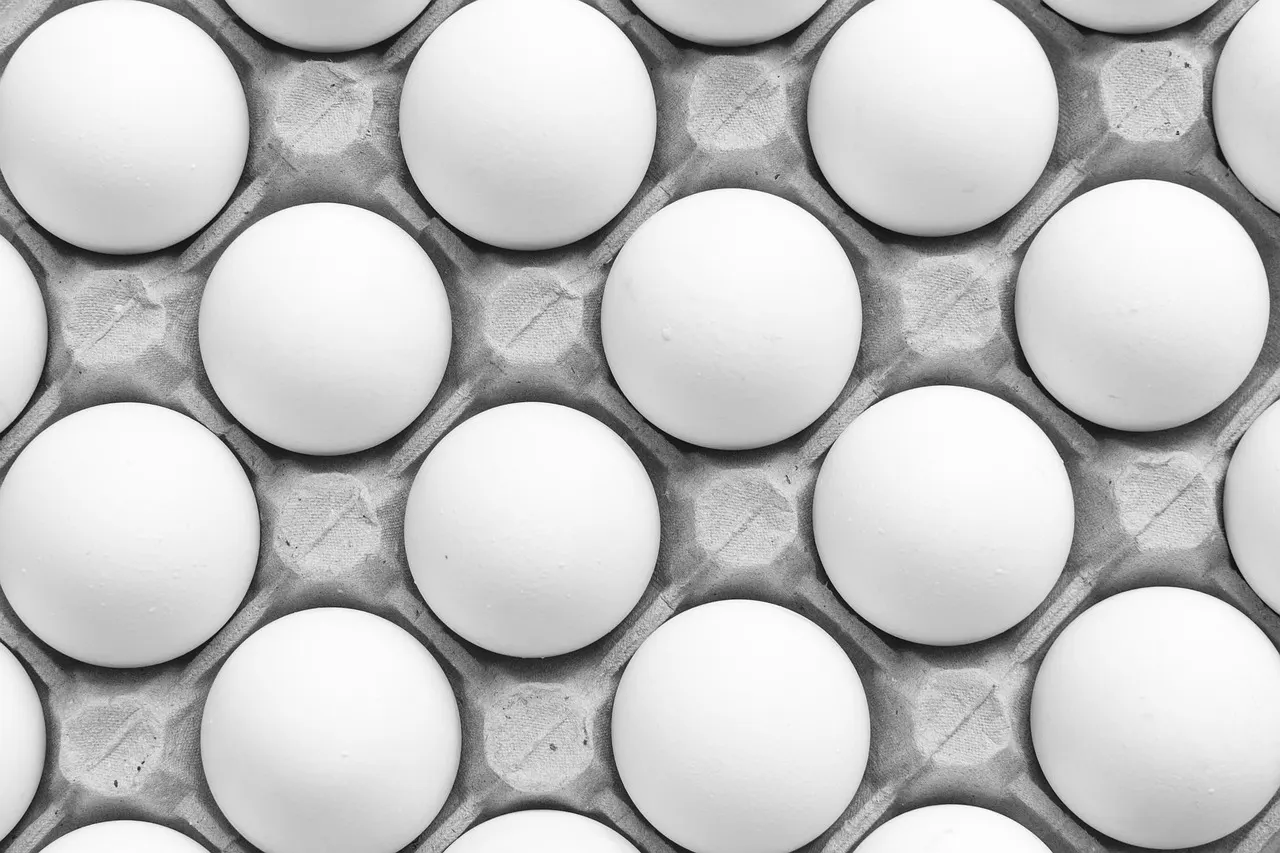 prato equilibrado com proteína magra, legumes e vegetais para um déficit calórico sem fome