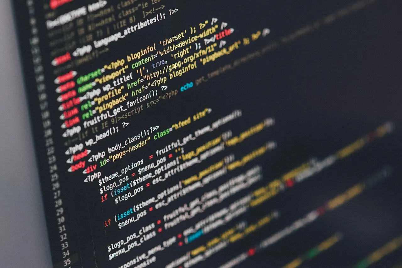 Illustration of the coding model divide: speed versus precision