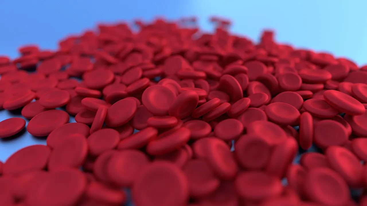 Microscope view of mutated blood stem cells