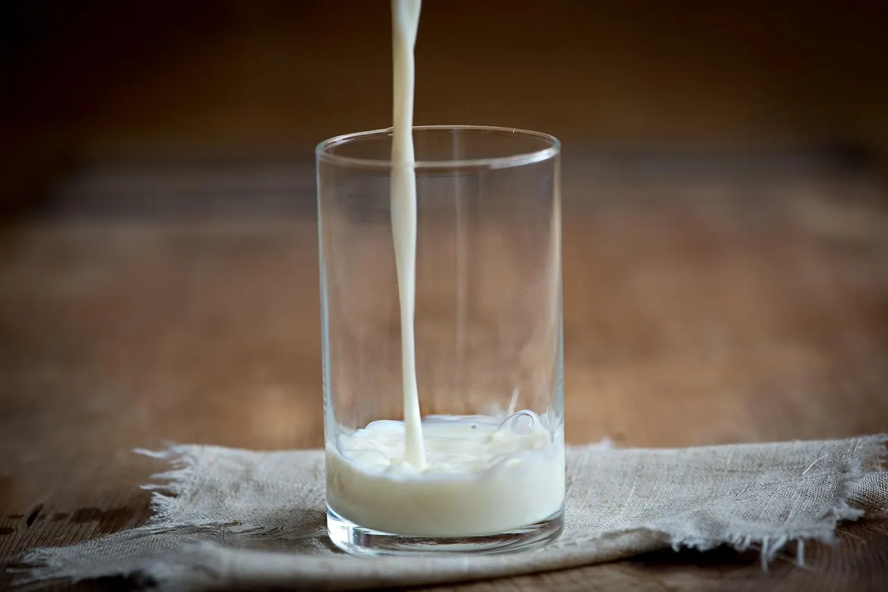 casein protein before bed — preparing a slow-digesting protein shake for overnight muscle recovery