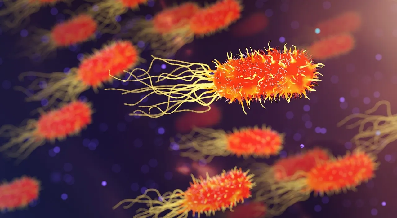 Microscopic view of mast cells releasing histamine
