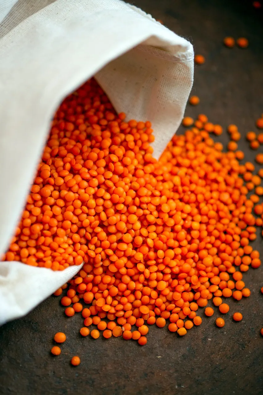 A bowl filled with assorted high-fiber foods like lentils, seeds, and grains