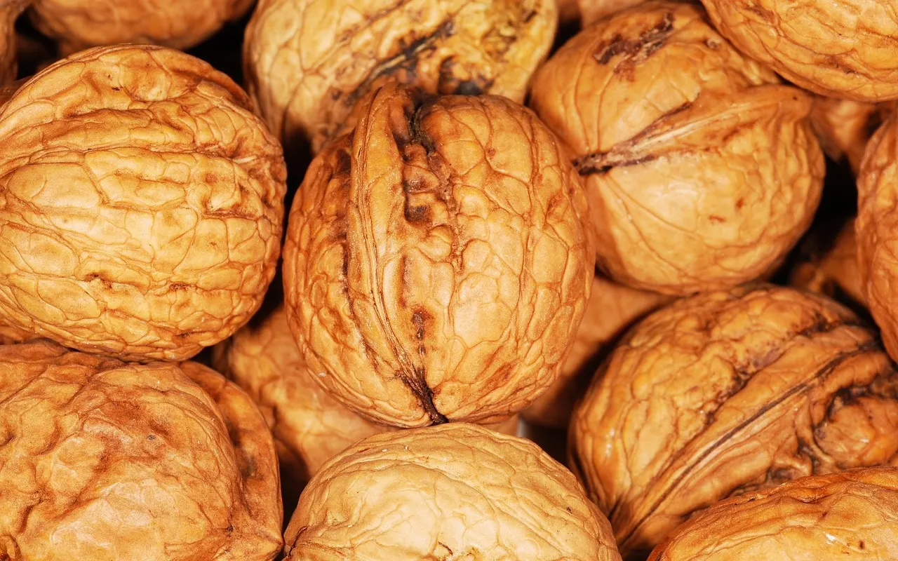 whole foods high in protein and fiber with gram counts for the pairing rule